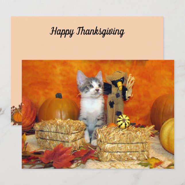 Pork Chop's Fall / Thanksgiving - Cute Cat Card (Front/Back)