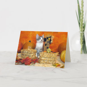 Pork Chop's Thanksgiving Card - Cute Cat 