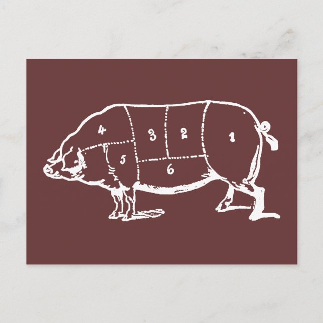 Pork (PIG) Butchers Chart - Bacon Postcard (Front)