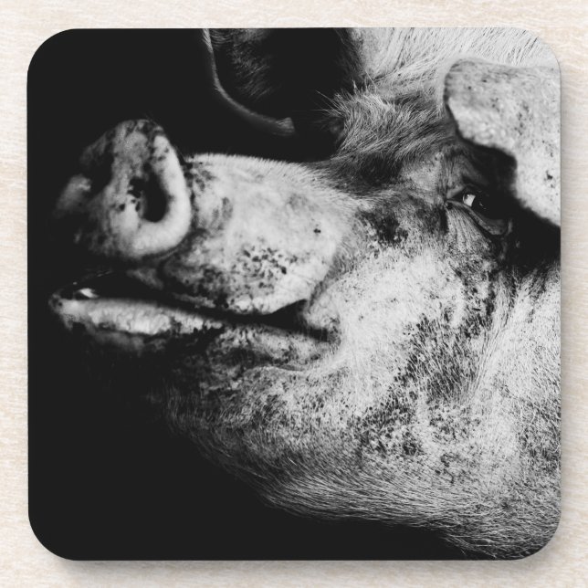 porker portrait coaster (Front)