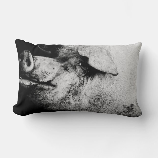 porker portrait lumbar cushion (Front)
