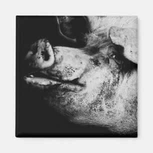 porker portrait magnet