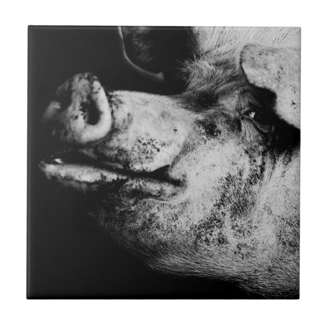 porker portrait tile (Front)