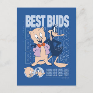 Porky Pig & DAFFY DUCK™ Best Buds Postcard
