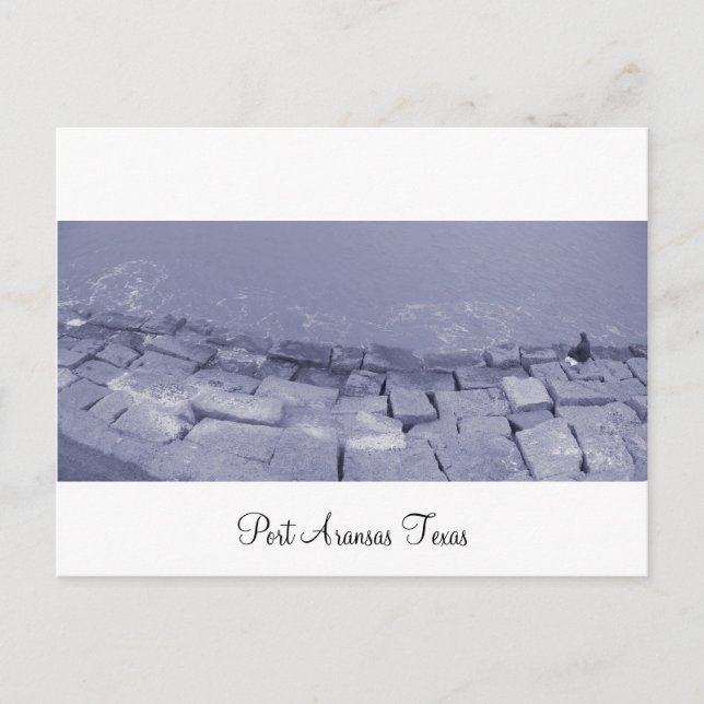 Port Aransas (Panoramic) La Pesca Postcard (Front)