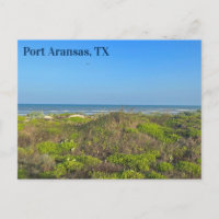 Port Aransas Texas Beach Grass Photography