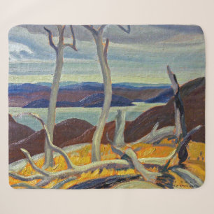 Port Coldwell Bay Franklin Carmichael Sherpa Blanket