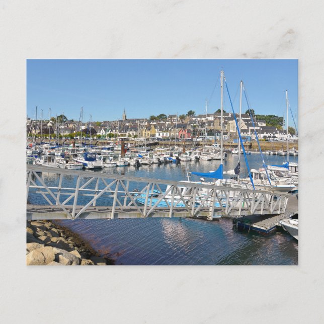 Port of Douarnenez in France Holiday Postcard (Front)