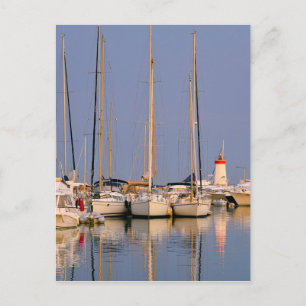 Port of Hyères les Palmiers Postcard