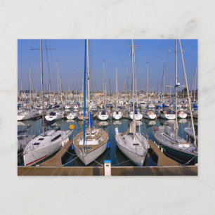 Port of Saint-Vaast-la-Hougue in France Postcard