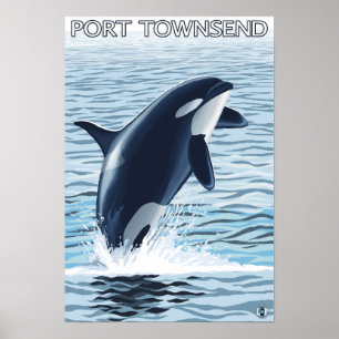 Port Townsend, WashingtonOrca Jumping Poster