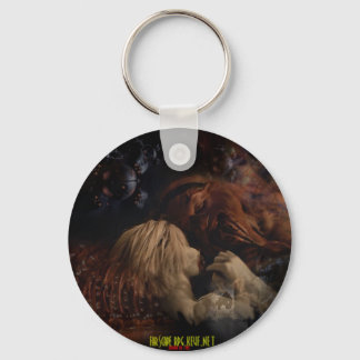 Porte clef générique key ring