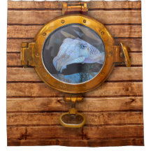 Porthole Cuttlefish