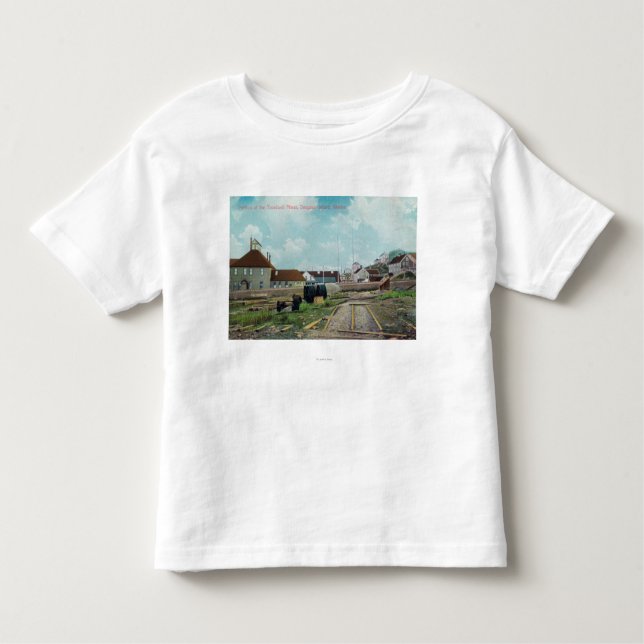 Portion of Treadwell MinesDouglass Island, AK Toddler T-Shirt (Front)