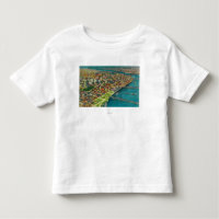 Portland from Air showing Bridges and
