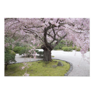 Portland Japanese Gardern, Portland, Oregon, Photo Print