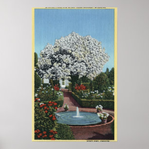Portland, Oregon - Spanish Pool and Ghost Tree Poster