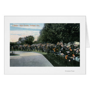 Portland, OregonView of a Rose Garden