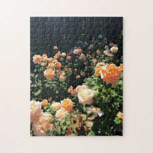Portland Rose Garden, OR Jigsaw Puzzle