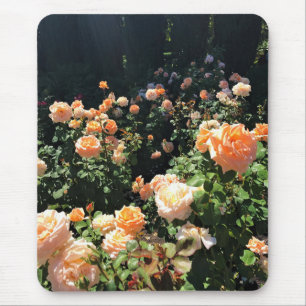 Portland Rose Garden, OR Mouse Pad