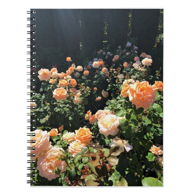 Portland Rose Garden, OR Notebook (Front)