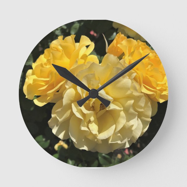 Portland Rose Garden Round Clock (Front)