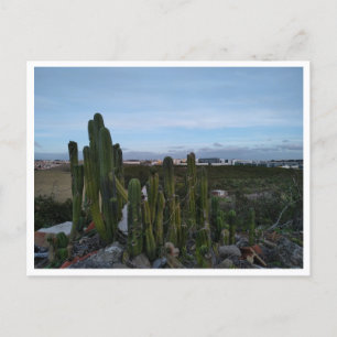 Porto Salvo (Portugal) Postcard