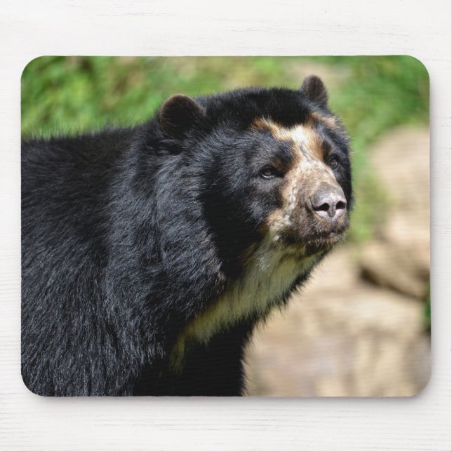 Portrait Andean bear Mouse Pad (Front)