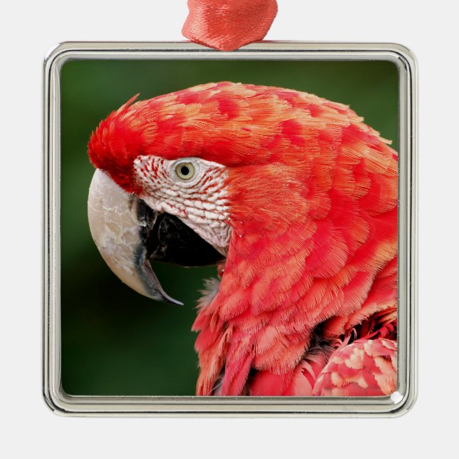 Portrait green-winged macaw metal ornament (Front)