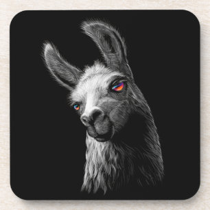 Portrait Head Cute Llama On Black Background Coaster