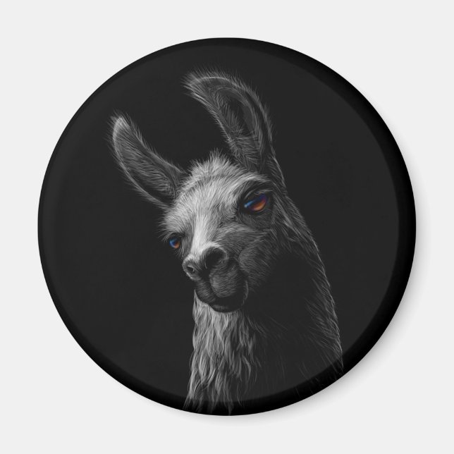 Portrait Head Cute Llama with a Black Background  Magnet (Front)