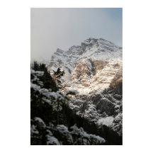 Portrait Illustration Design