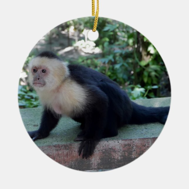 Portrait.JPG Ceramic Ornament (Front)