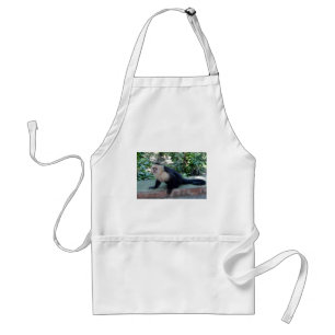 Portrait.JPG Standard Apron