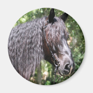 Portrait Magnet