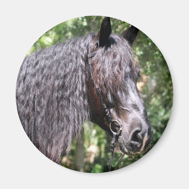 Portrait Magnet (Front)