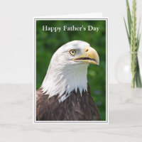 Portrait of a Bald Eagle