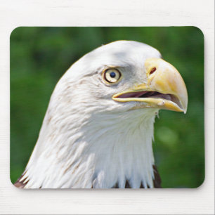 Portrait of a Bald Eagle Mouse Pad