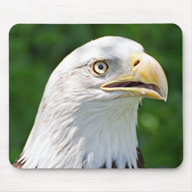 Portrait of a Bald Eagle Mouse Pad (Front)