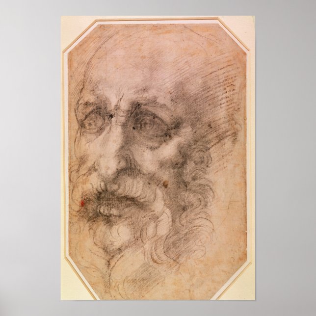Portrait of a Bearded Man Poster (Front)