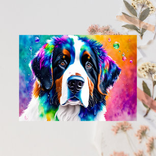 Portrait of a Bernese Mountain Dog Postcard