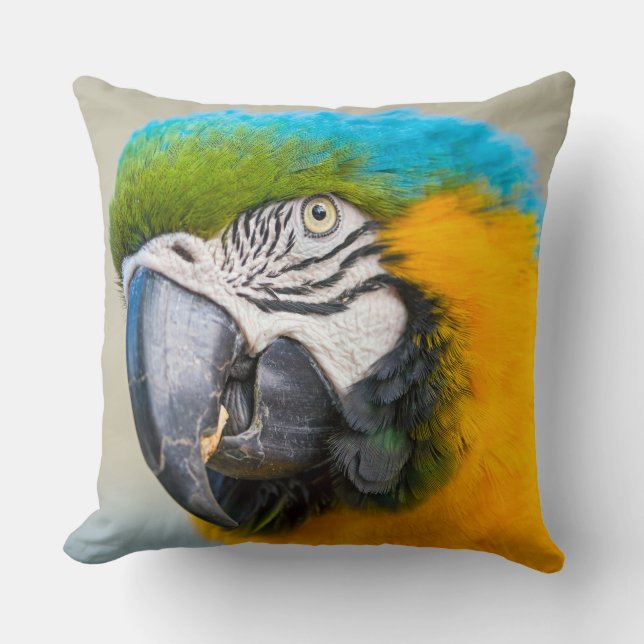 Portrait of a Blue and Yellow Macaw Cushion (Front)