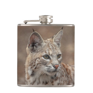 Portrait of a Bobcat Hip Flask