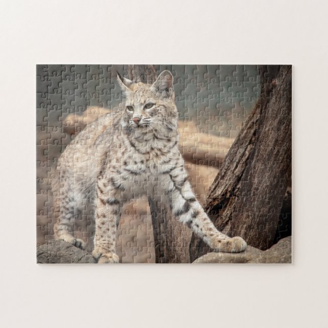 Portrait of a Bobcat Jigsaw Puzzle (Horizontal)
