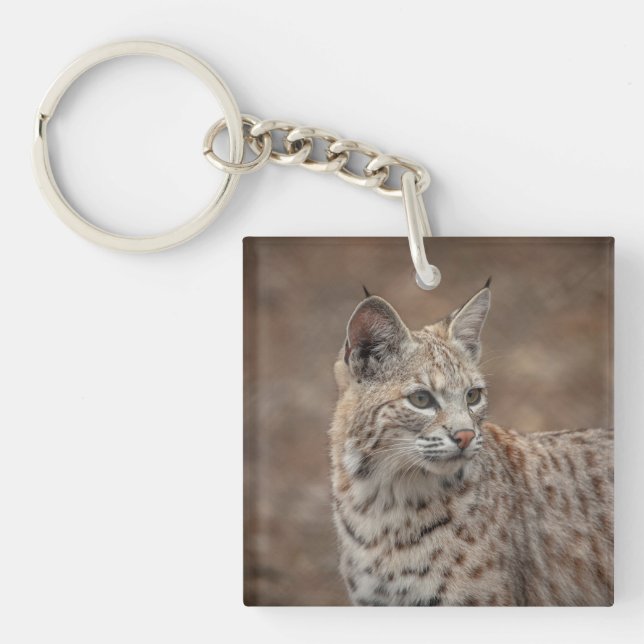 Portrait of a Bobcat Key Ring (Front)