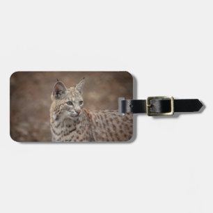 Portrait of a Bobcat Luggage Tag