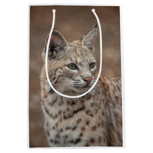 Portrait of a Bobcat Medium Gift Bag