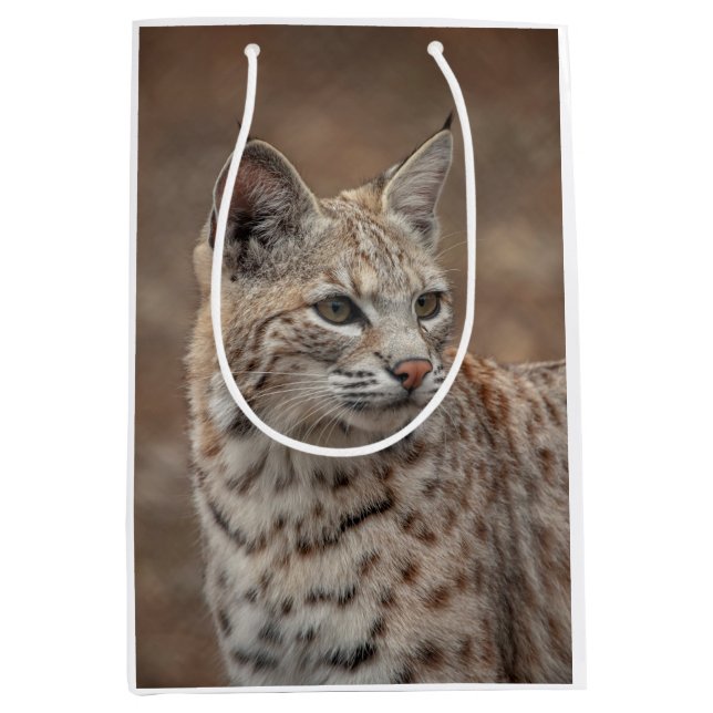 Portrait of a Bobcat Medium Gift Bag (Front)