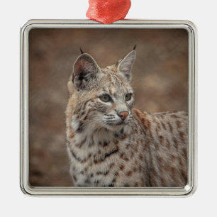 Portrait of a Bobcat Metal Ornament