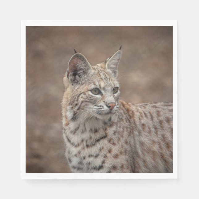 Portrait of a Bobcat Napkin (Front)
